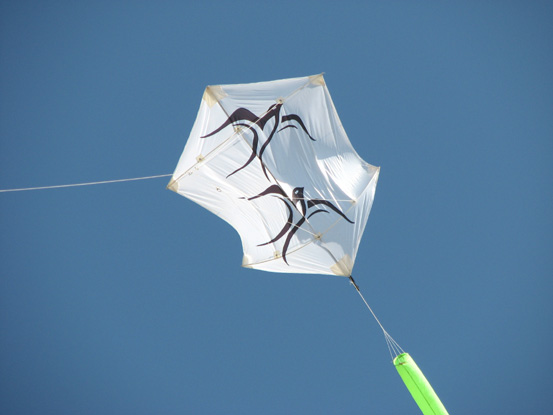 28- Rokkaku Hirondelles - Robert Renaud